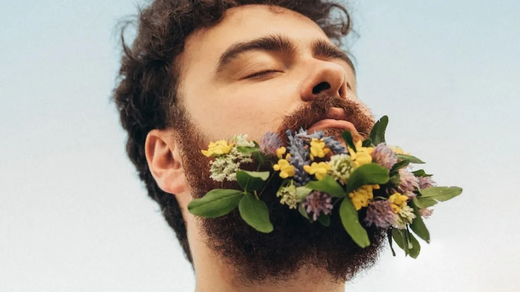How To Get A Beard Like Drake How To Get A Beard Like Drake