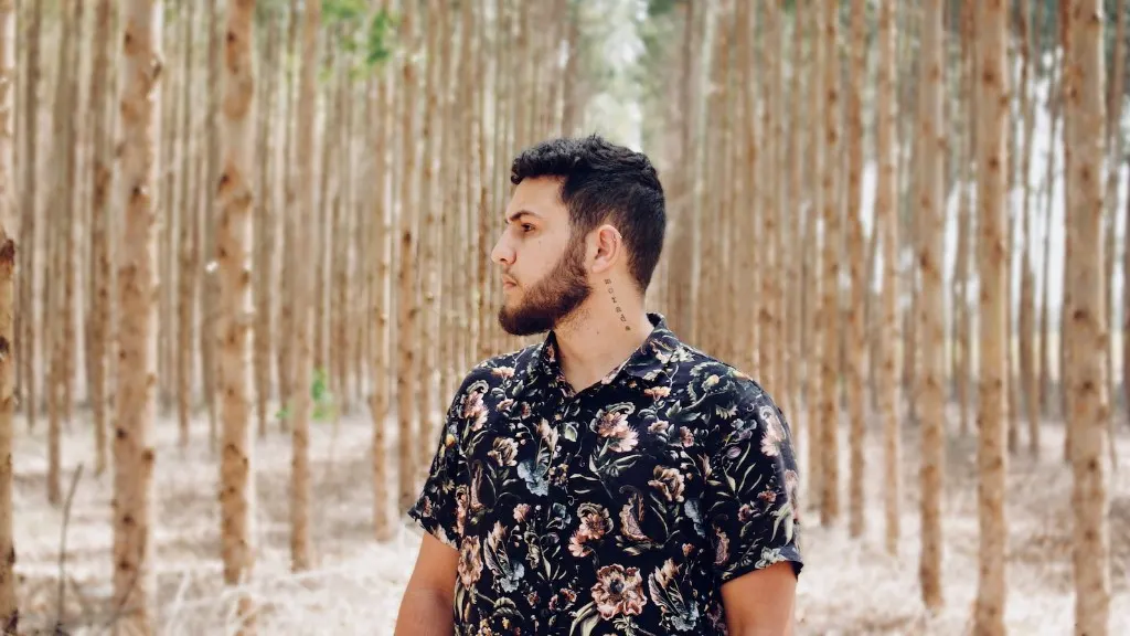 How To Dye Grey Beard Hair